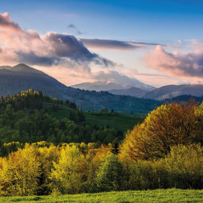 MYŚLIMY O PRZYSZŁYCH POKOLENIACH