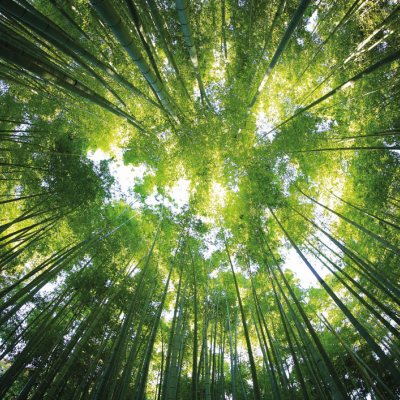 MYŚLIMY O PRZYSZŁYCH POKOLENIACH